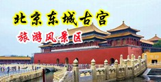 !骚屄乐园中国北京-东城古宫旅游风景区